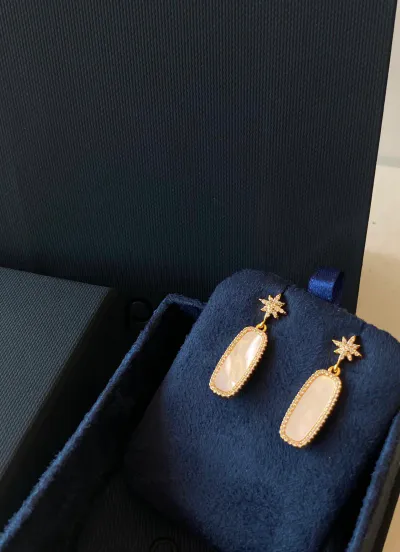 Earrings (e479)