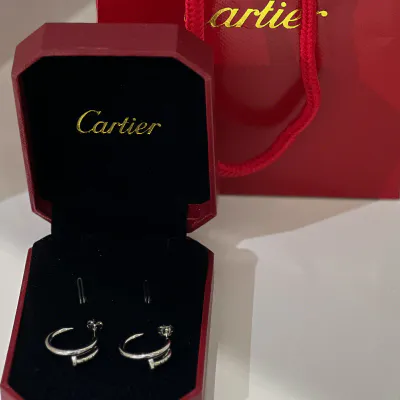Earrings (433)