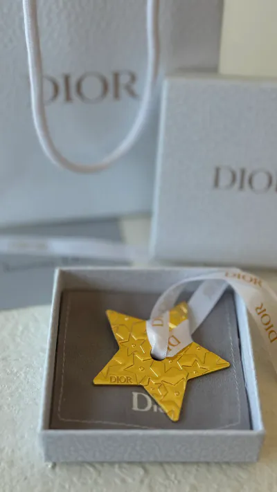 Dior hanger 3