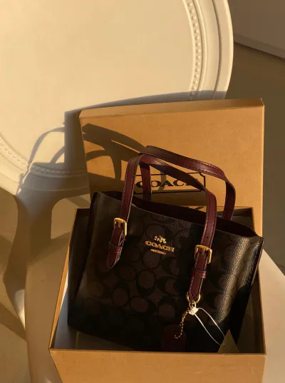Bag 669 (copy one)