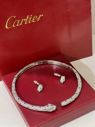 Necklace & Earrings (Ne258)